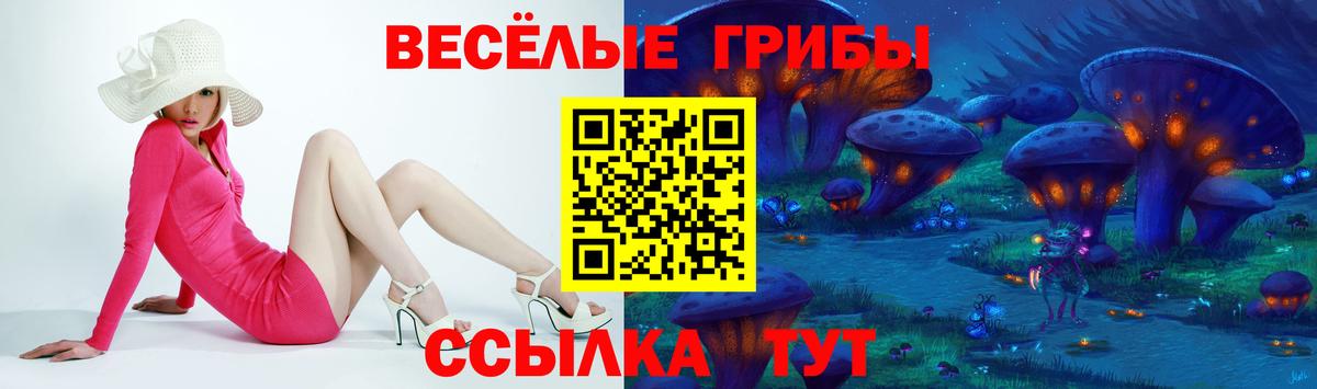 Галлюциногенные грибы MAGIC MUSHROOMS  Галлюциногенные грибы GOLDEN TEACHER  Вход с VPN  Южно-Сахалинск 